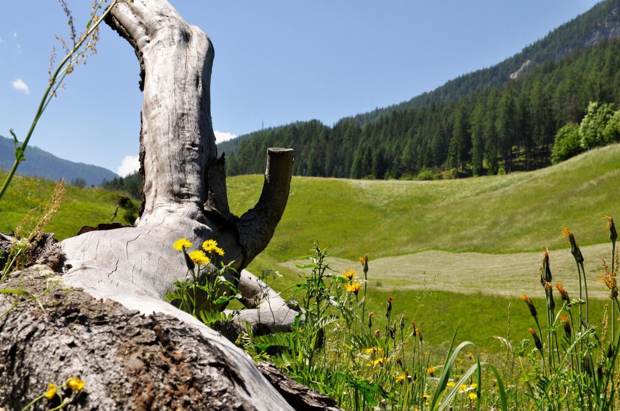 Guesthouse Rungg Badia (South Tyrol) Eksteriør bilde